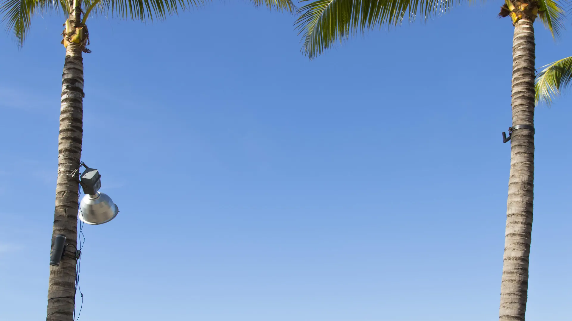 Villa Vera Puerto Vallarta